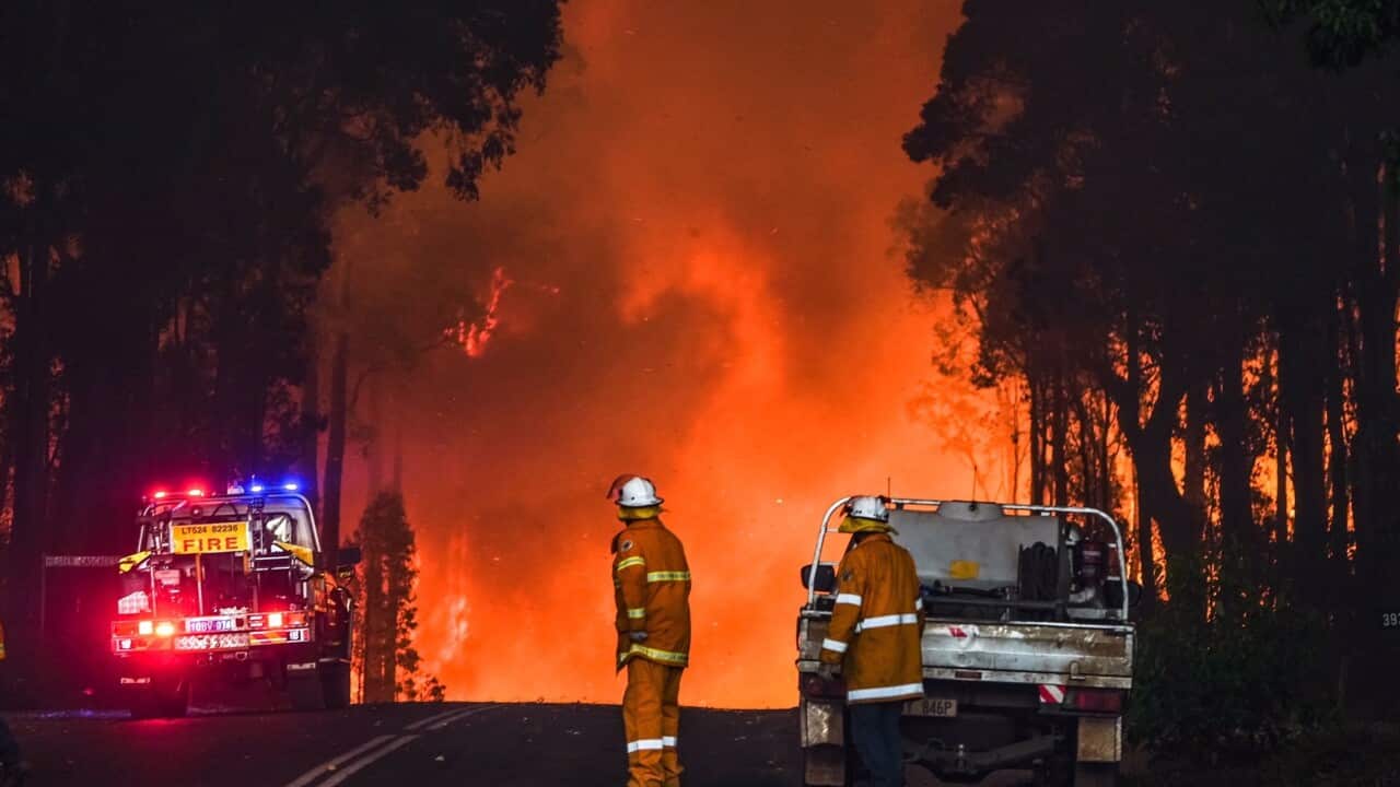 Rear view of two firefighters standing on a road looking at a wall of flame in front of them. There is a vehicle parked on the left side of the road with red and blue flashing lights and ute parked on the right.