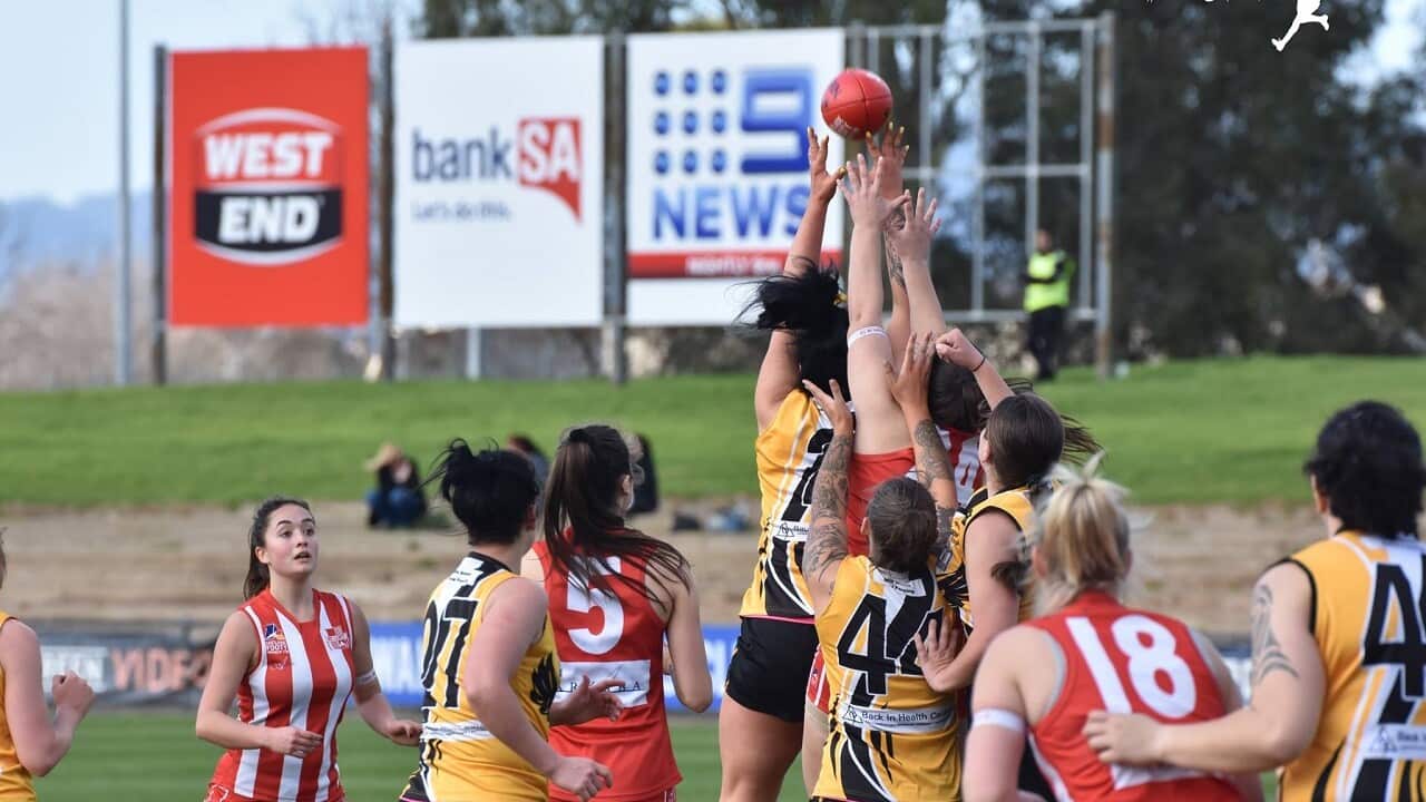 Players on the field