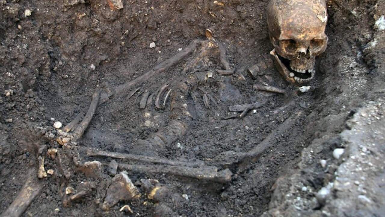 The remains of King Richard III