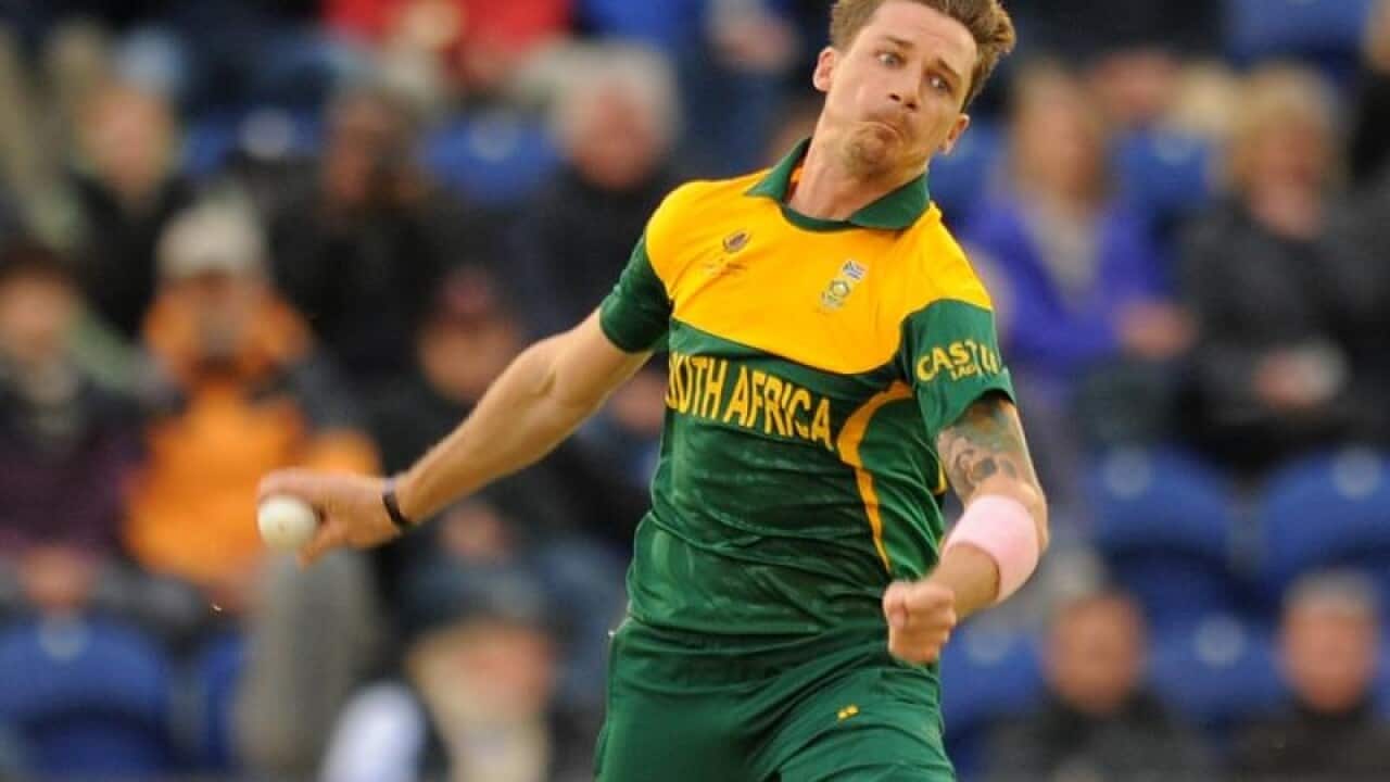 Dale Steyn