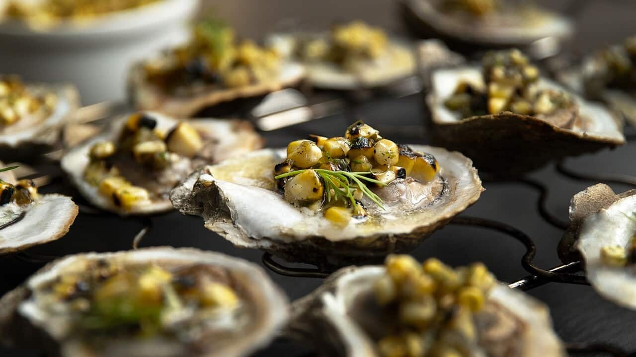 Oysters in the half shell, topped with a corn salsa, sit on a black rack.