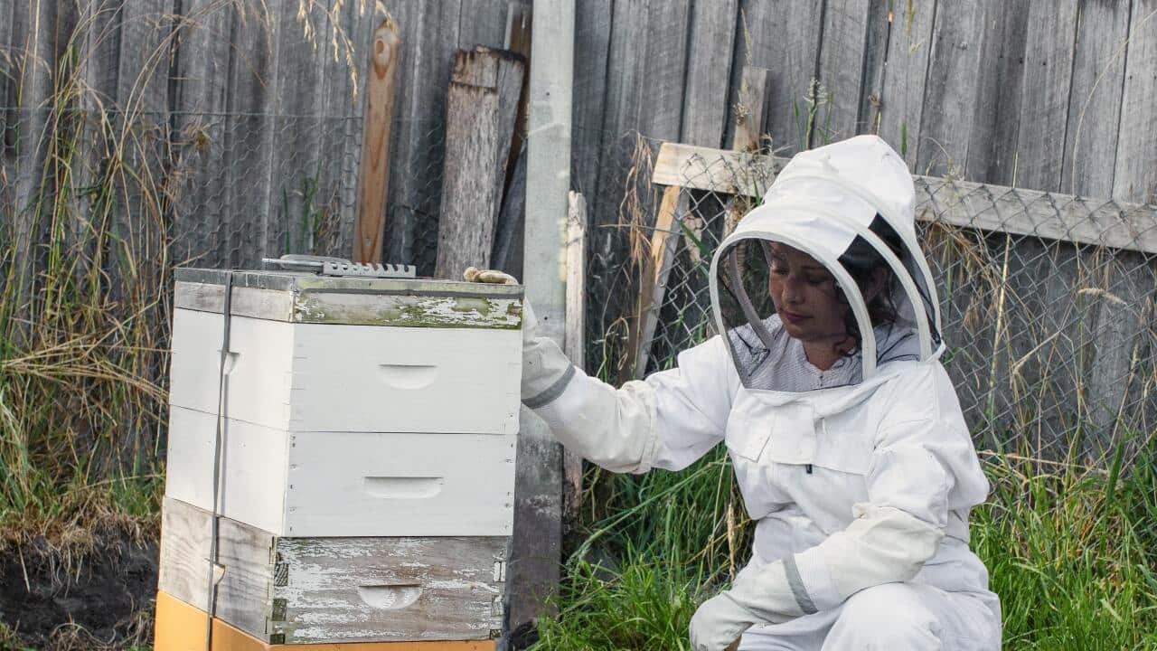 _Analiese Gregory beekeeping_A Girls Guide to Hunting Fishing and Wild Cooking