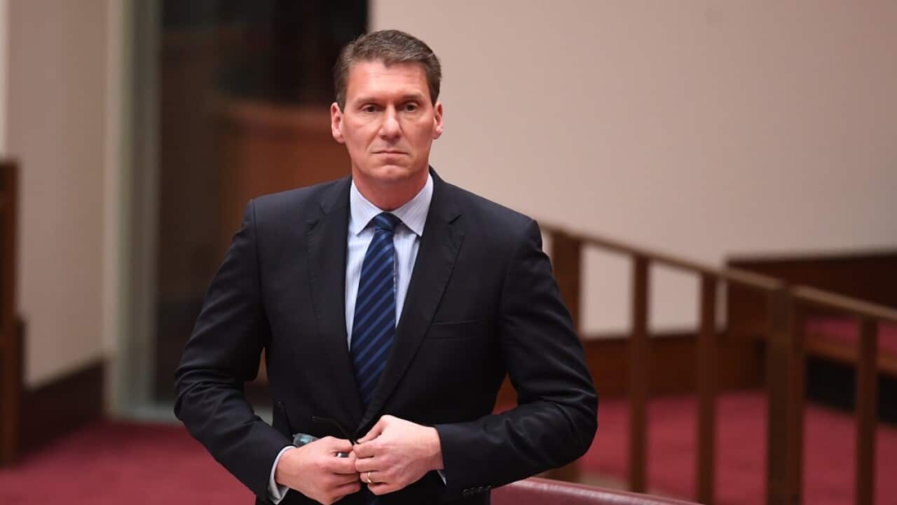 Cory Bernardi has failed to get the Senate to oppose Medicare funding for abortions.