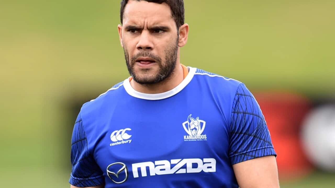 North Melbourne Kangaroos player Daniel Wells.