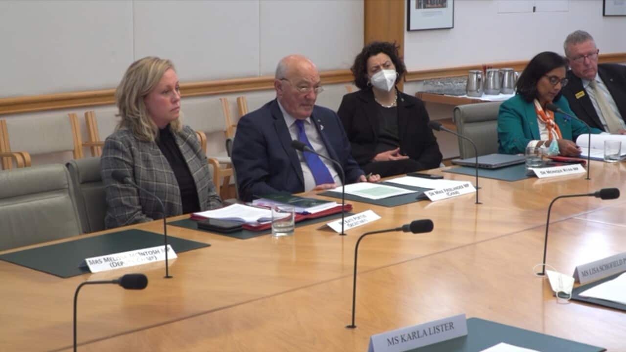 Image for read more article 'READ MORE'