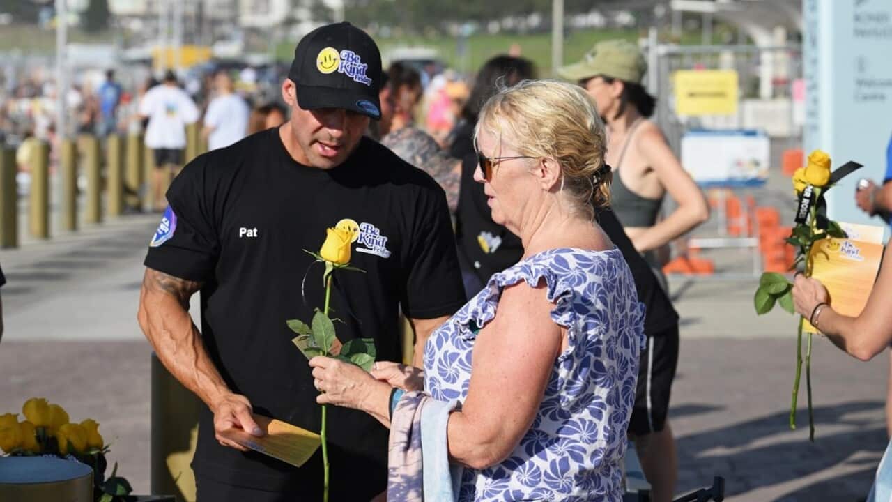 Flowers are handed out to beach goers at Bondi Beach.jpg
