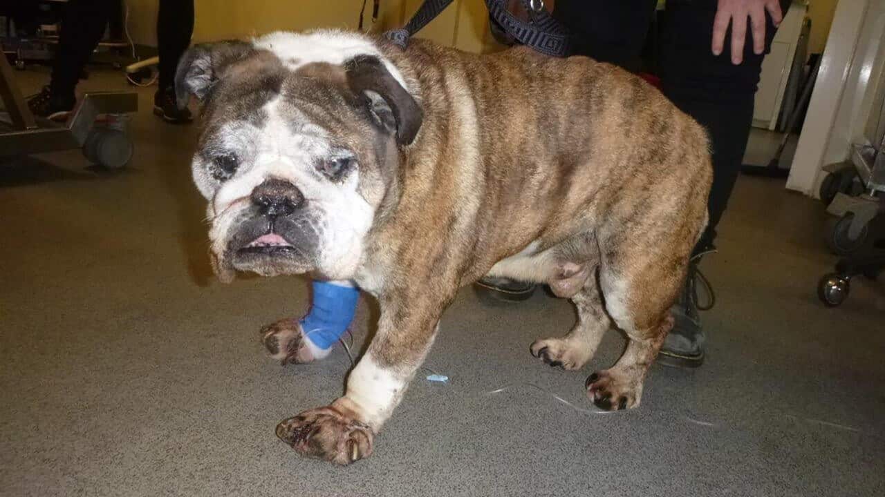 Image for read more article 'READ MORE'