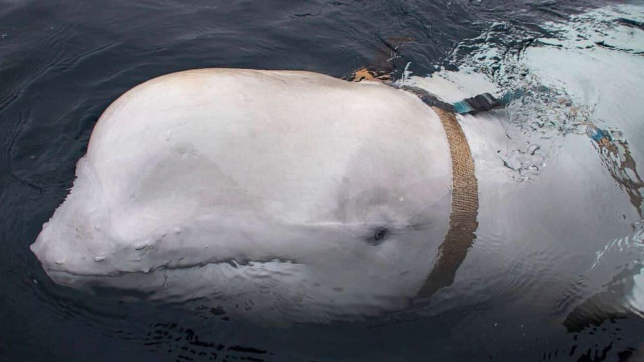 Image for read more article 'READ MORE'