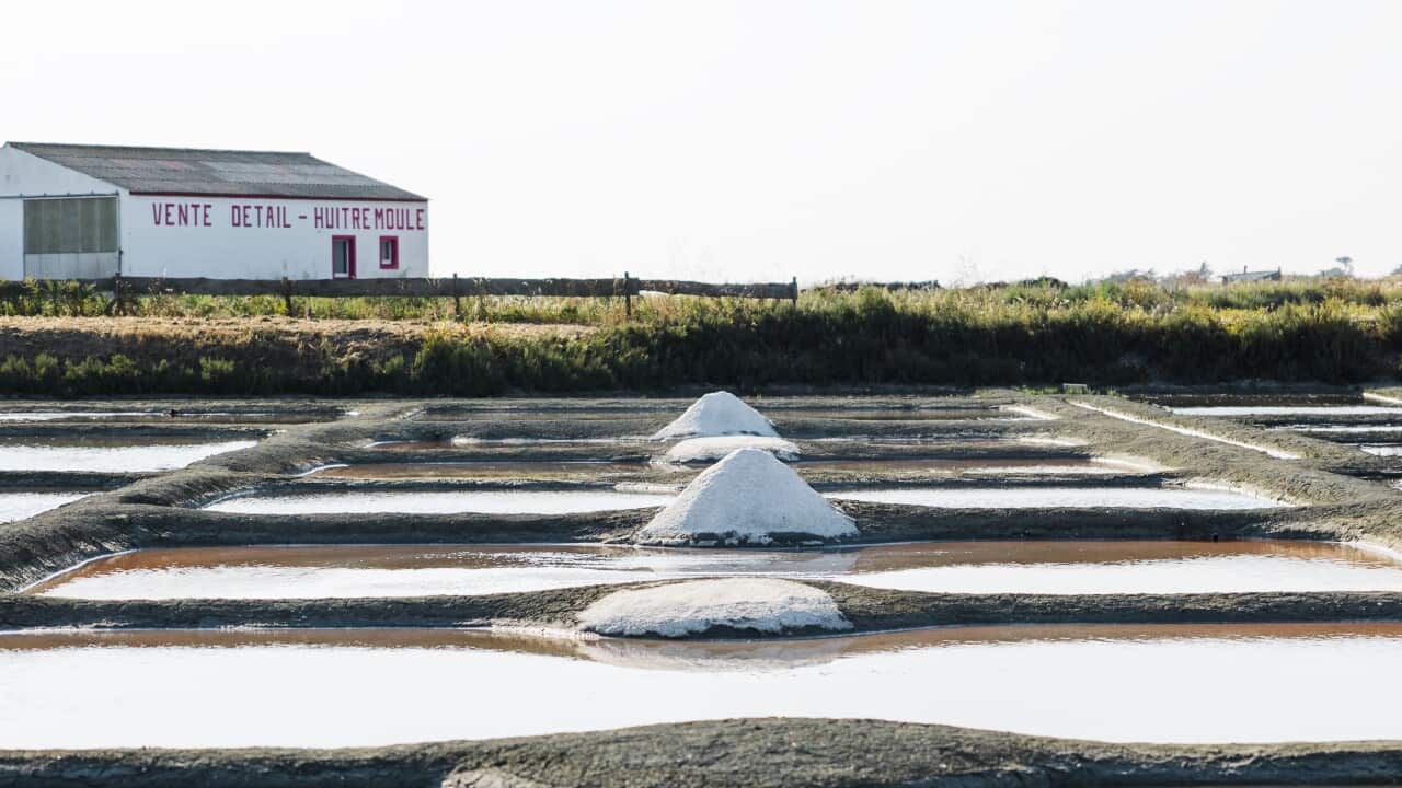 Salt piles