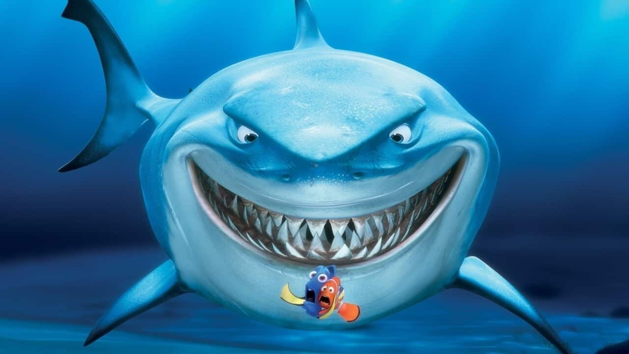 Bruce from Finding Nemo