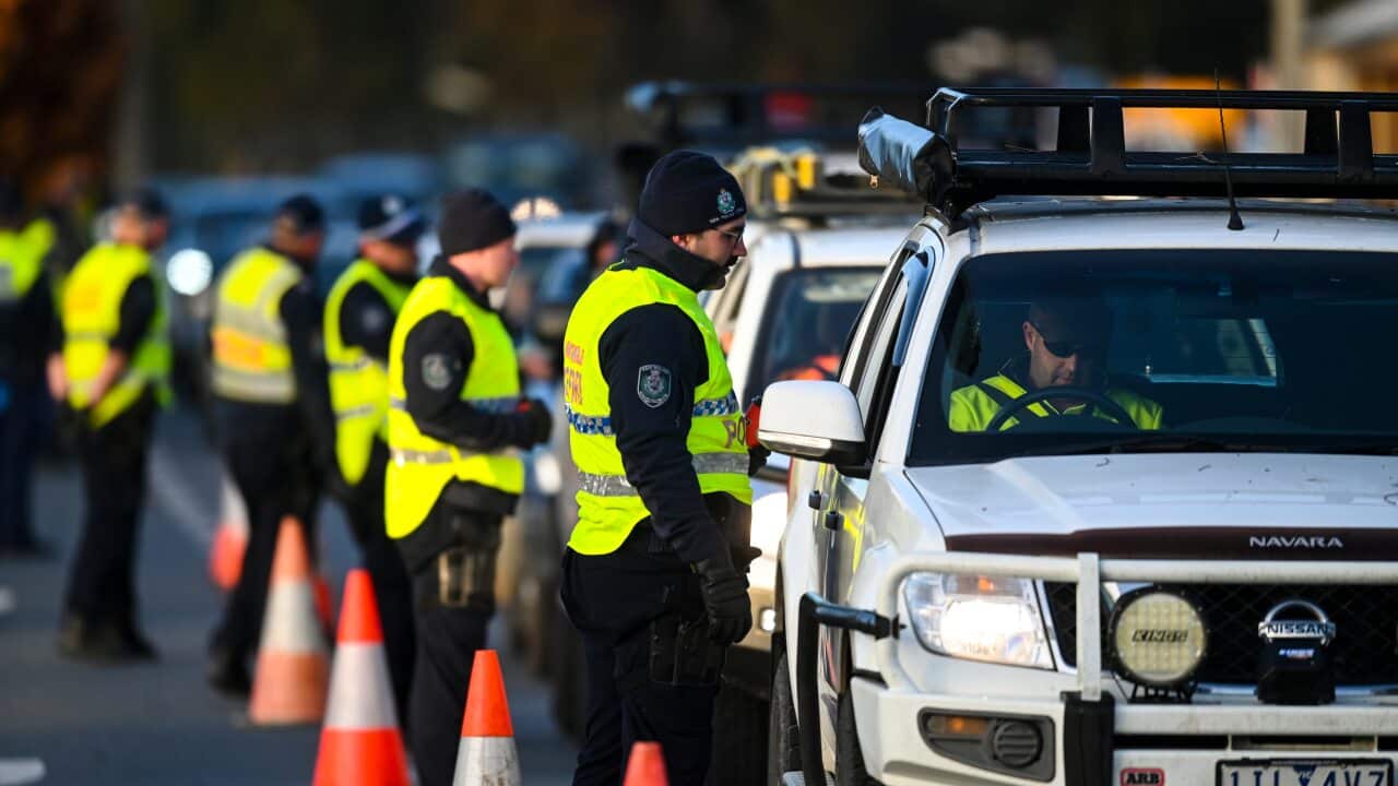 NSW Police officers check cars