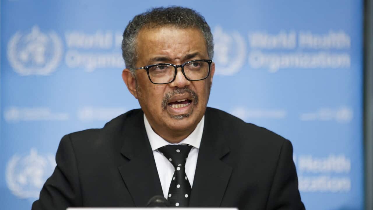 Director General of WHO