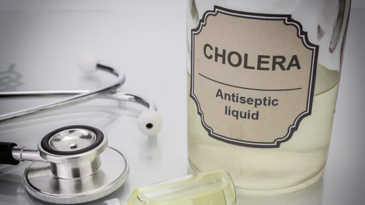Cholera testing, conceptual image