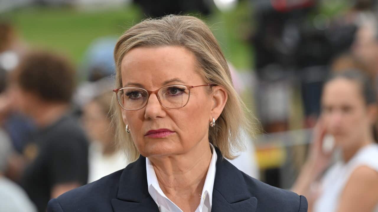 Sussan Ley standing in front of a blurred crowd in a green space.