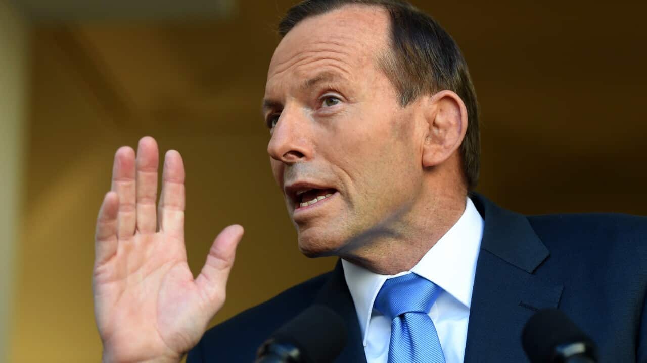 abbott carbon 730.jpg