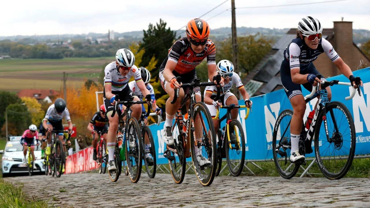 Image for read more article 'Read More'