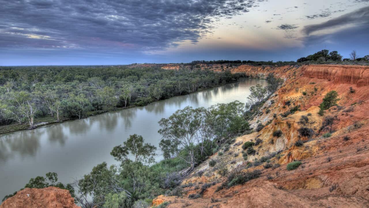 Murray River National Park.