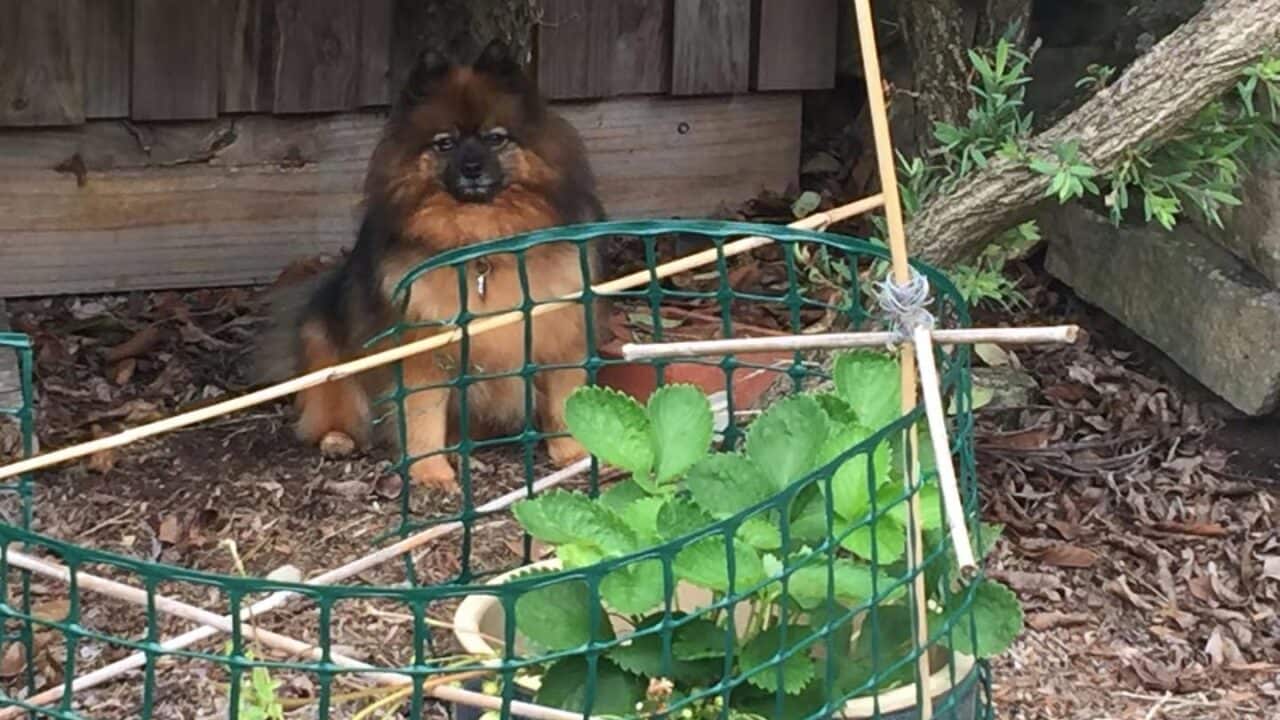 Image for read more article ''