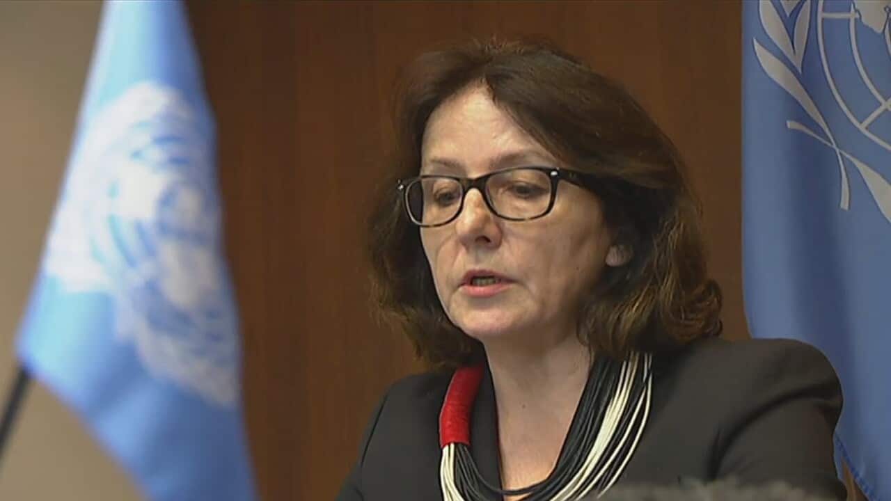 UN Special Rapporteur