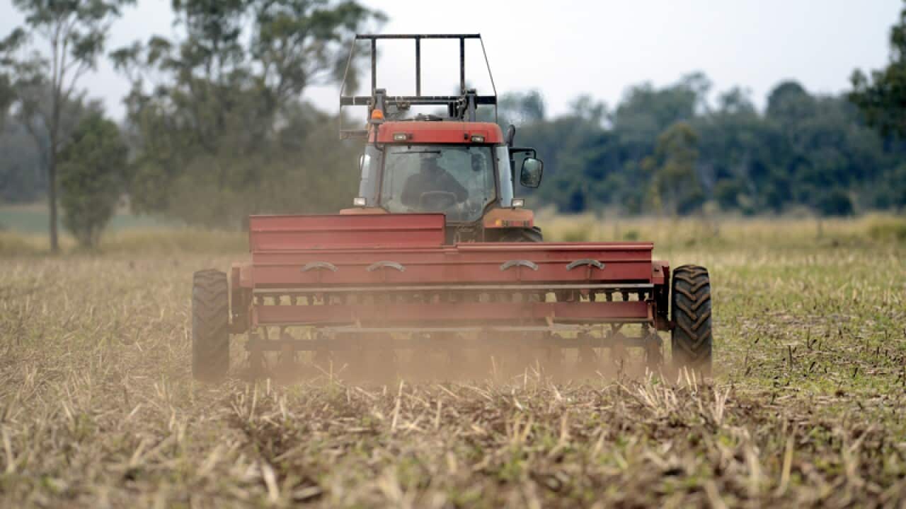 A dairy farmer sows barley on his property on the Darling Downs