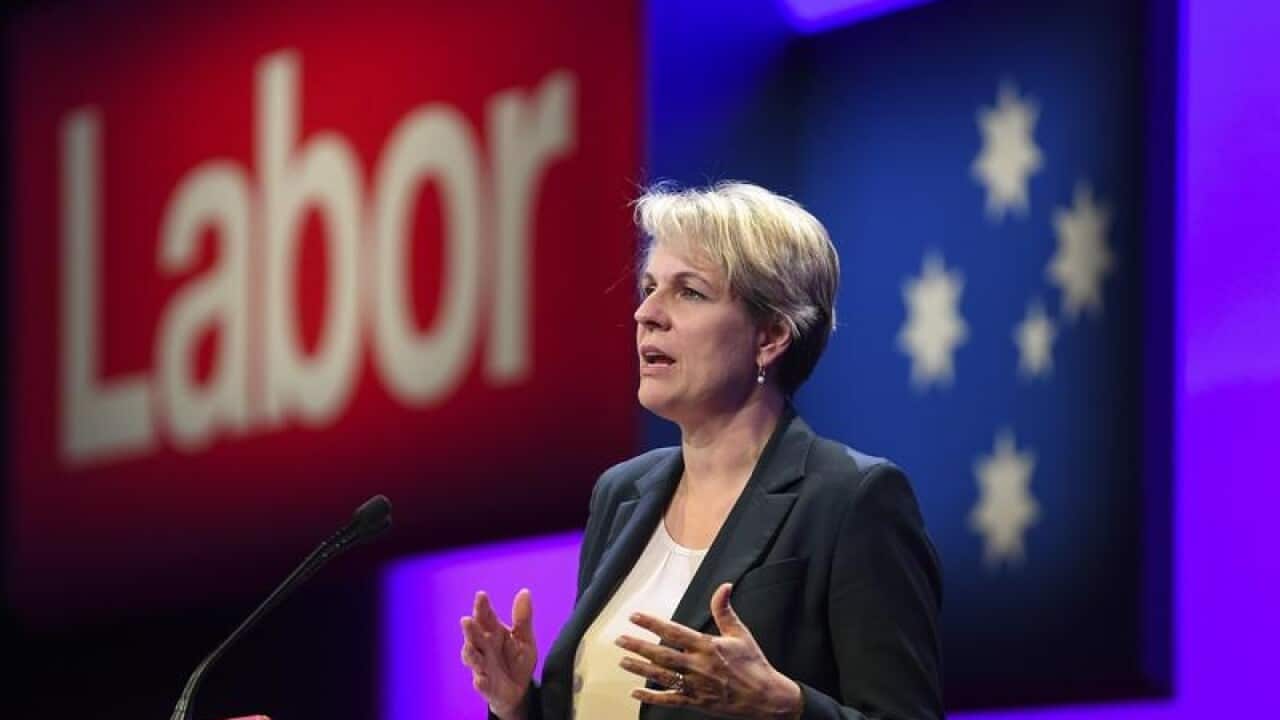 Deputy Labor leader Tanya Plibersek