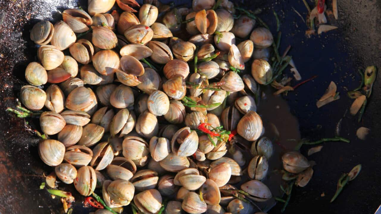 Stir-fried baby clams with saltbush and samphire