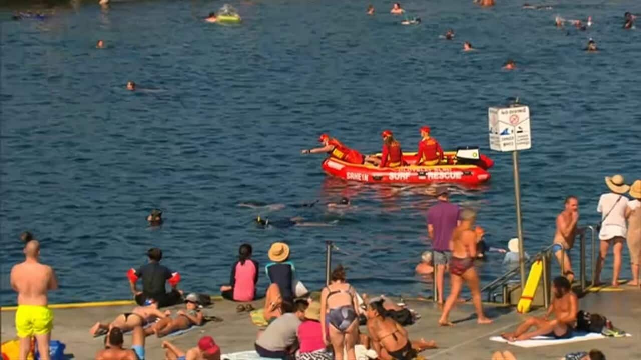 Image for read more article ''