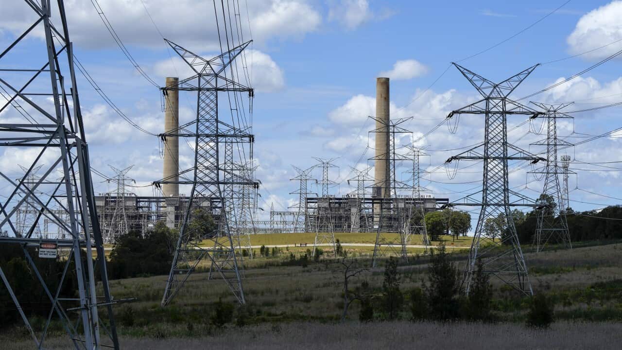 Power lines lead from the Liddell Power Station,
