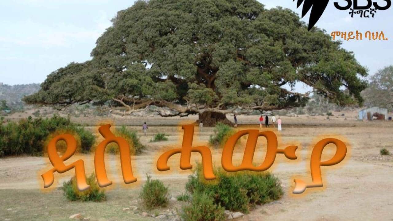 SBS Tigrinya Cultural Mozaic - Das Hawya