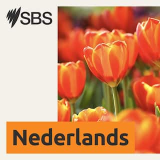 SBS-Podcasts_New_SBSDutch_3000x3000px.jpg