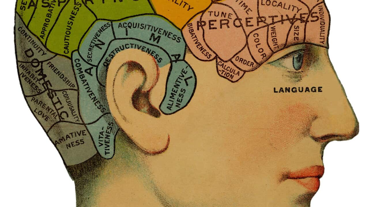 A phrenological head, showing  the different categoies of the  brain which should exist in  healthy humans. These include  self perceptive, aspiring and animal morals.     Date: circa 1870