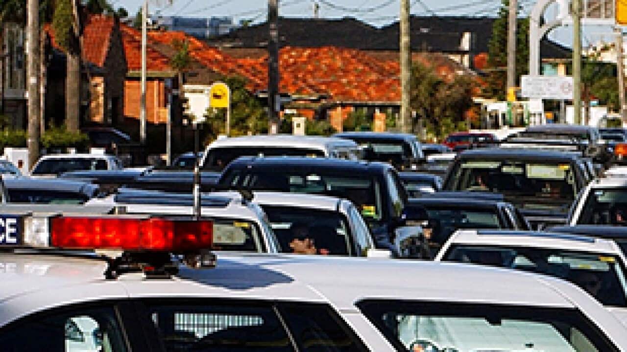 police traffic accidents