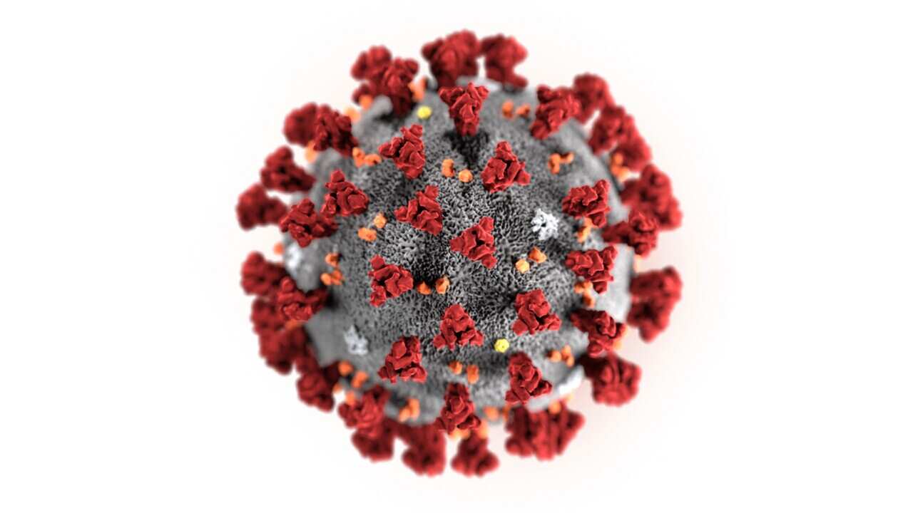 Coronavirus Covid19