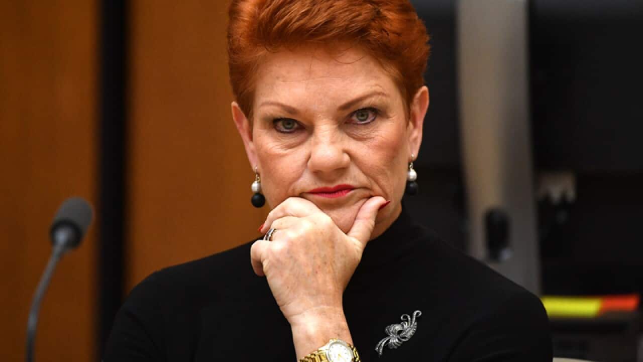 One Nation senator Pauline Hanson
