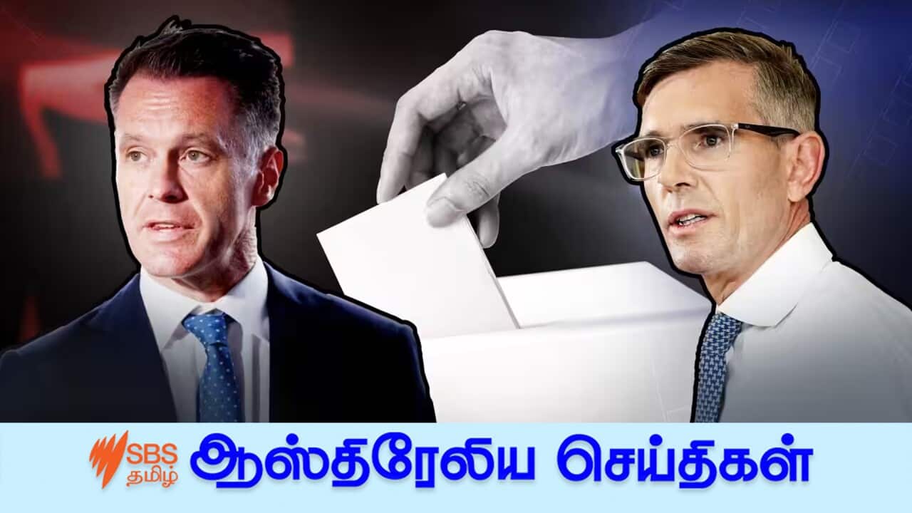 NSW voters head to the polls on Saturday, as Chris Minns (left) vies to deny the Coalition a fourth term.