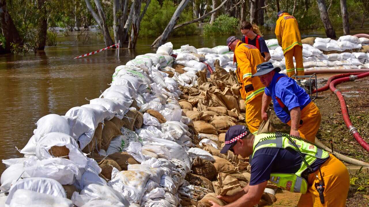 CFA crews work to sandbag Campaspe Esplanade in the town of Echuca, Victoria.