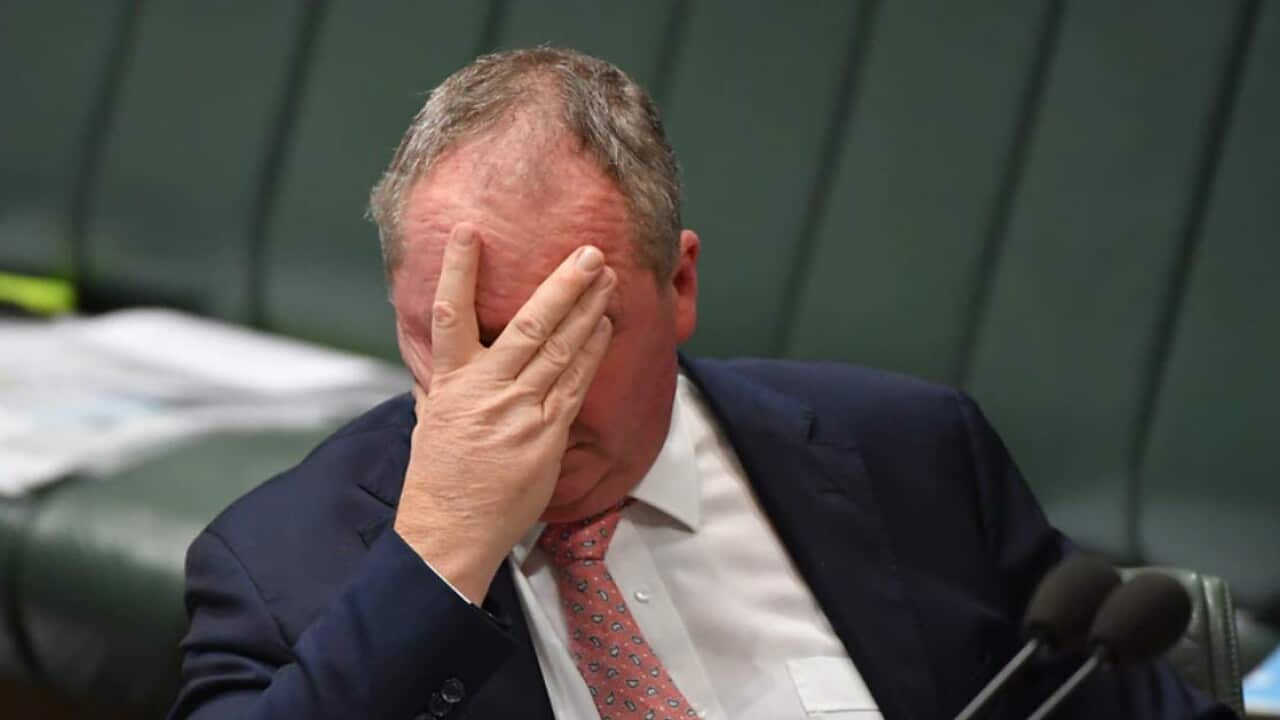 Deputy Prime Minister Barnaby Joyce has been fined by police for not wearing a mask in public.