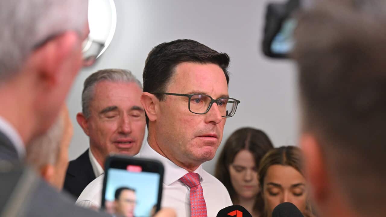 DAVID LITTLEPROUD PRESSER