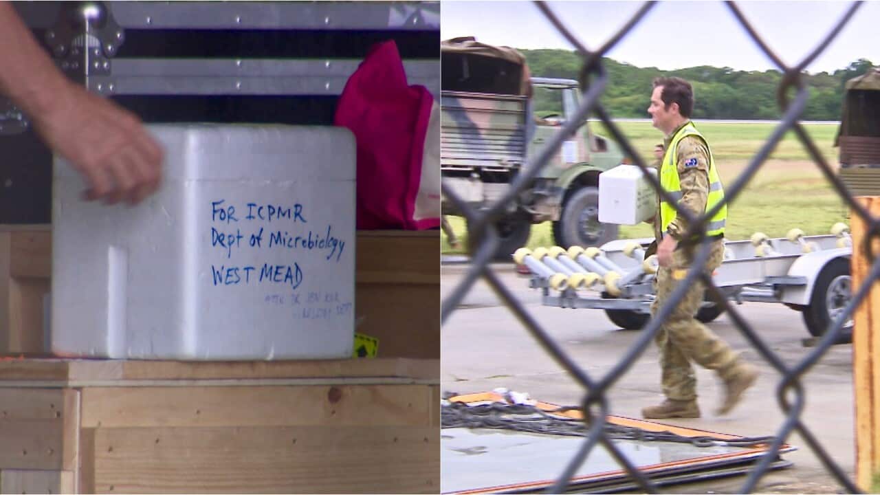 A member of the Australian Defence Force carries a white styrofoam box marked 'Dept of Microbiology Westmead' shortly before it departed Christmas Island.