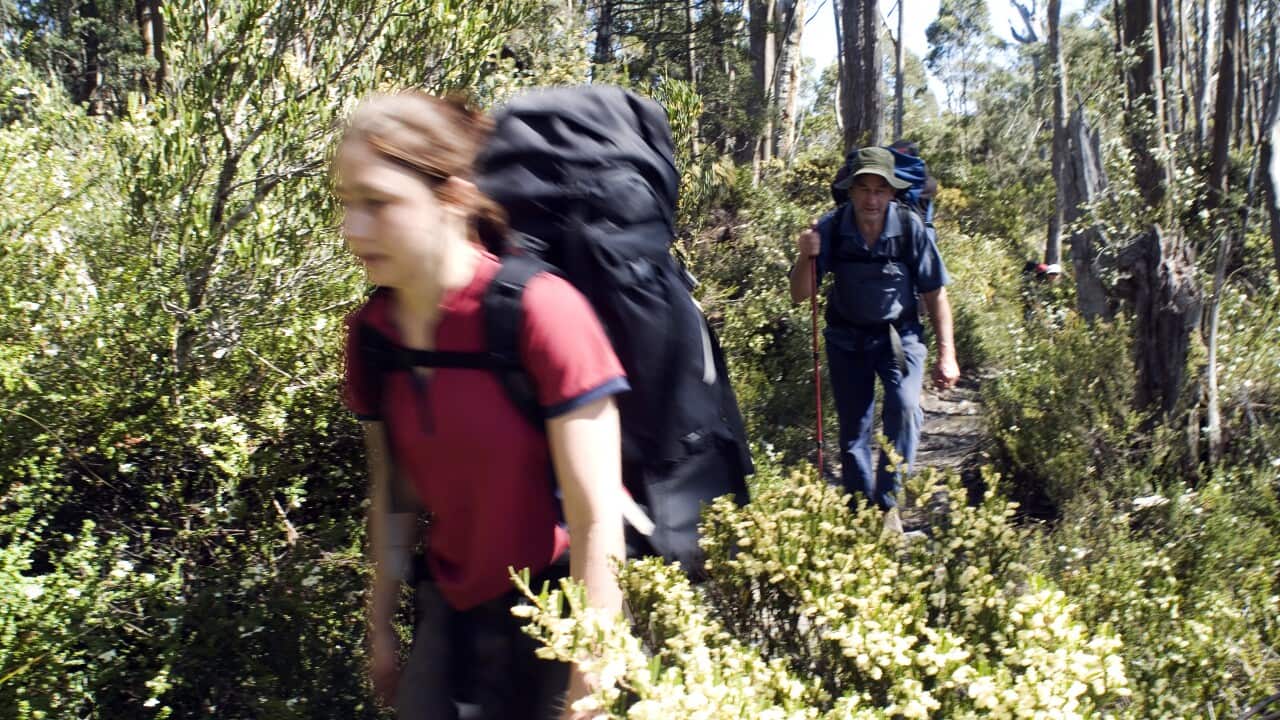 Image for read more article 'READ MORE'