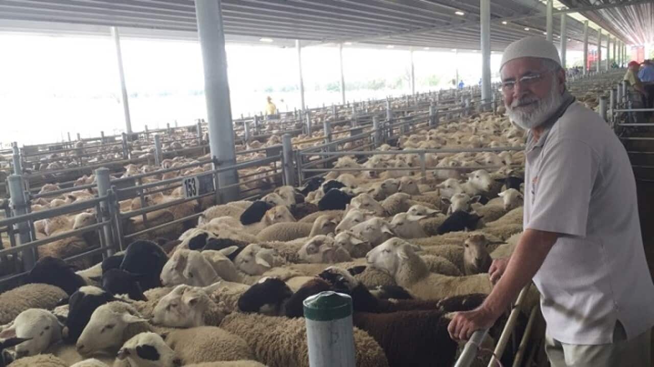 Abattoir