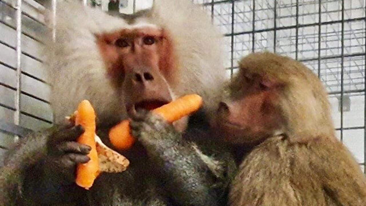 Image for read more article ''