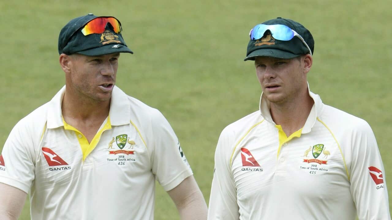 steve smith david warner