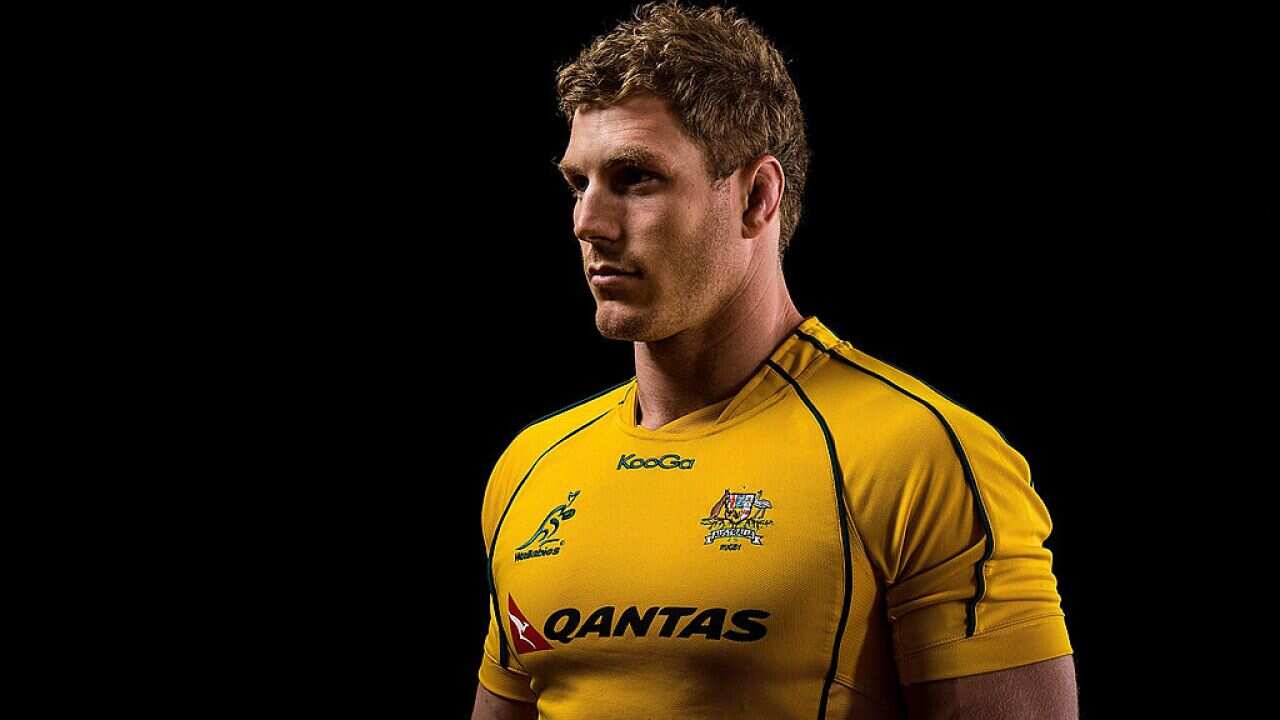 Australian Wallabies Portrait Session