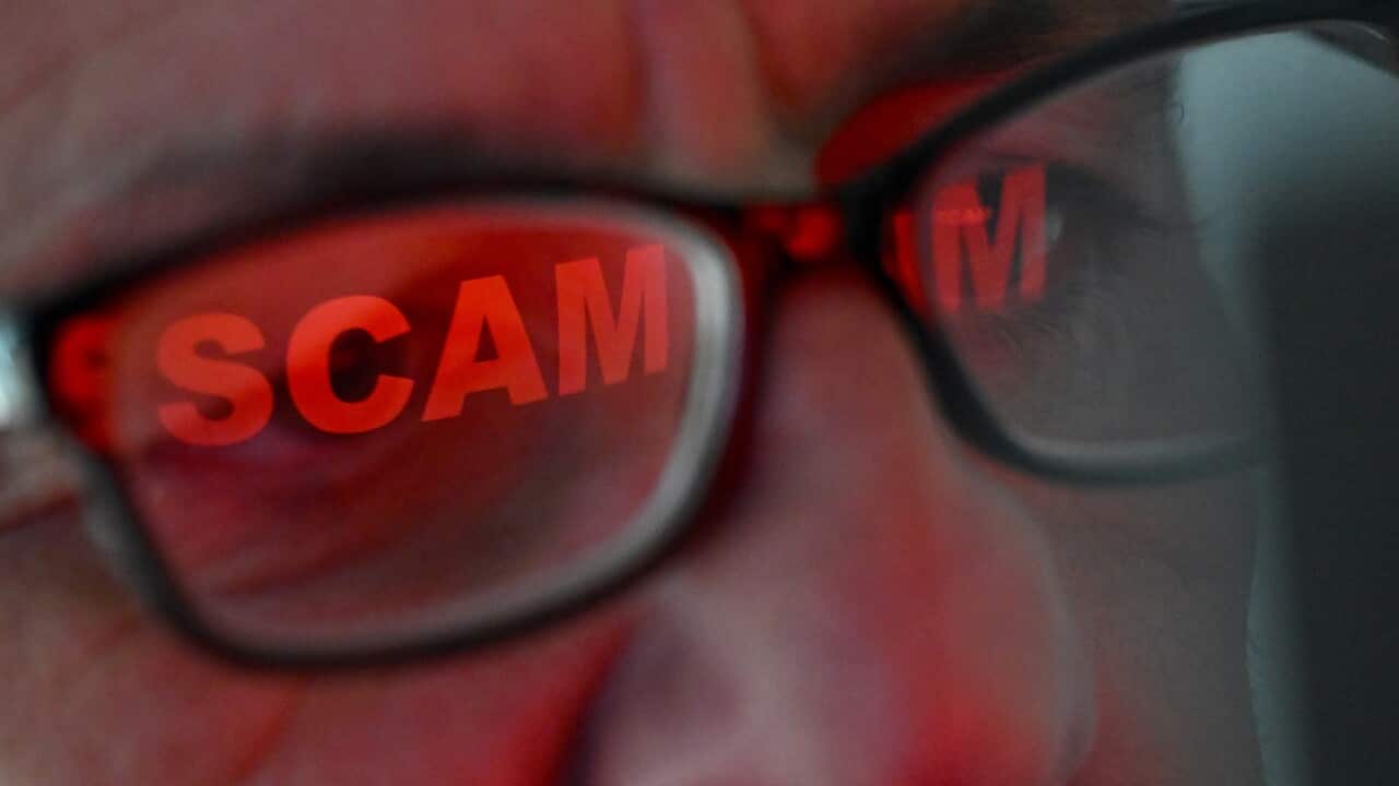 SCAM STOCK