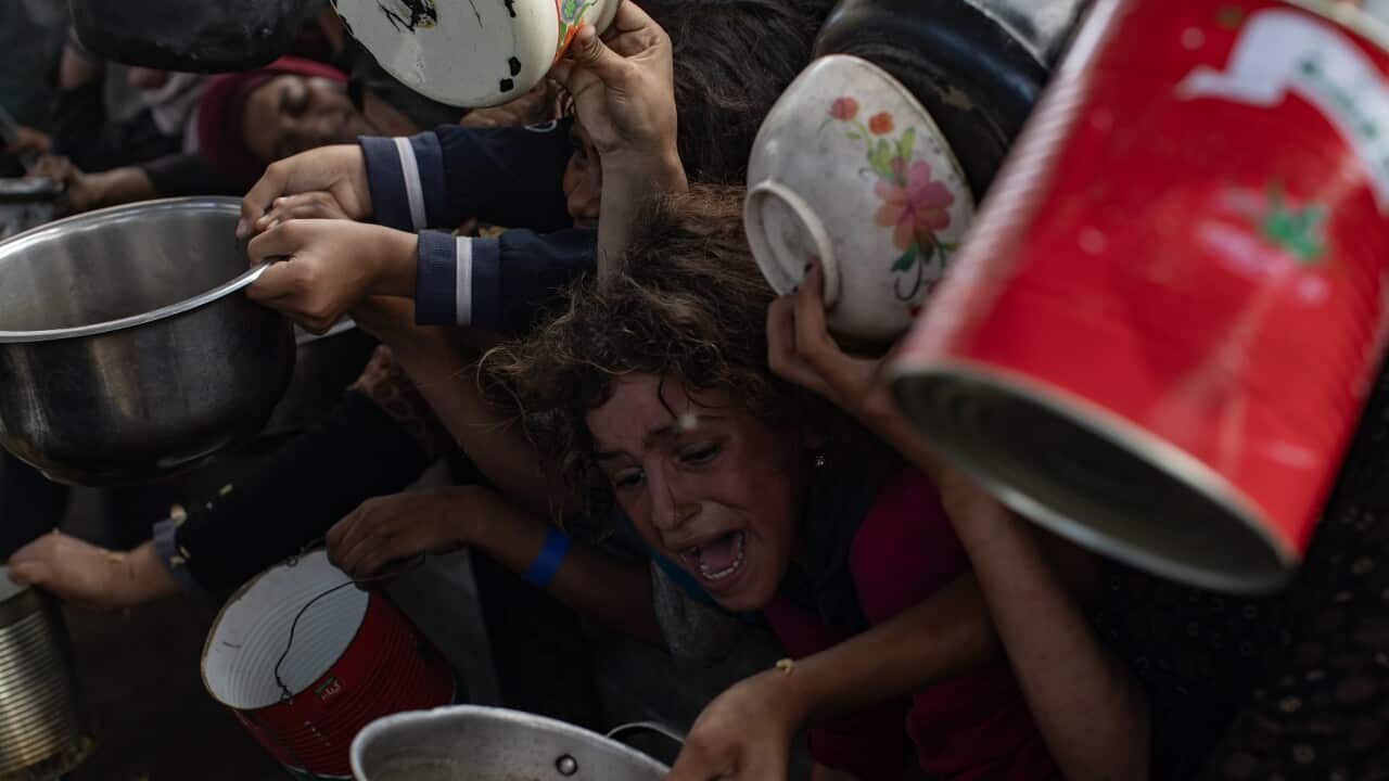 Displaced Palestinians collect donated food in Khan Yunis, southern Gaza