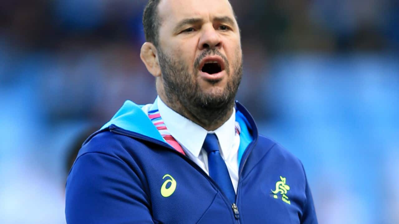 Australia head coach Michael Cheika.