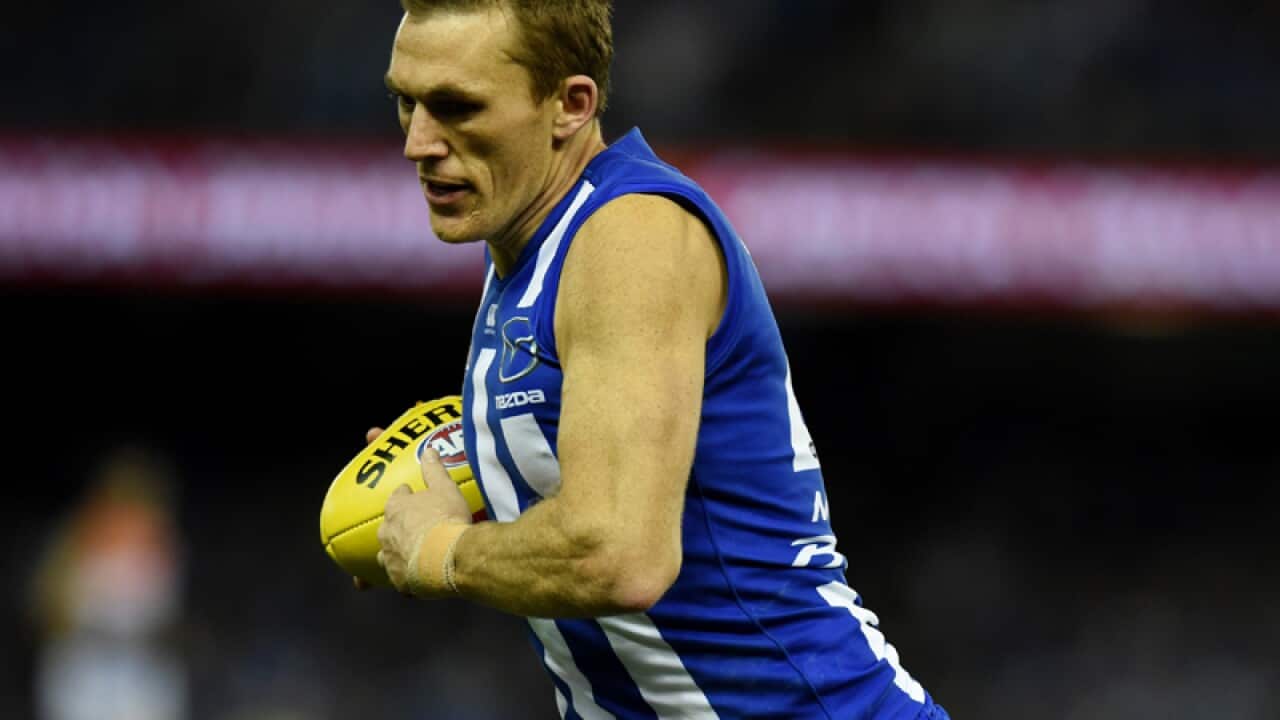 North Melbourne veteran Drew Petrie
