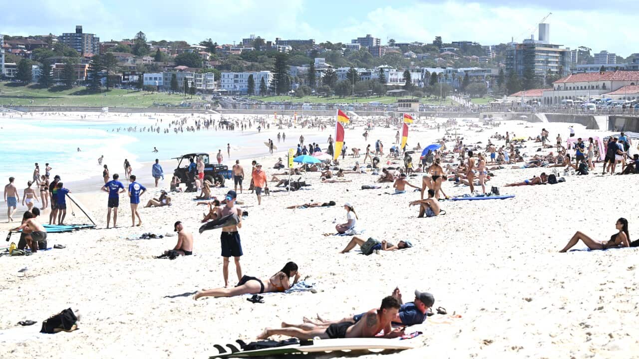 People laying on the sand at a beach.