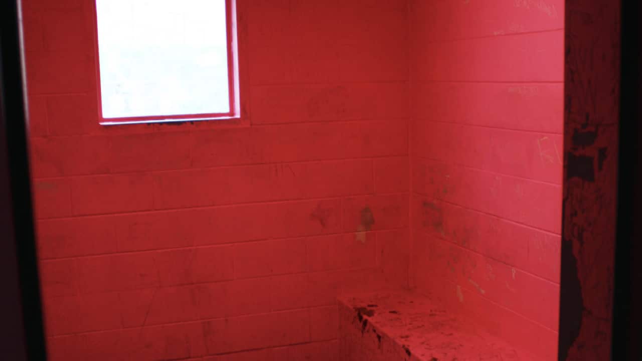 Image for read more article 'Related Reading'